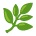 leef